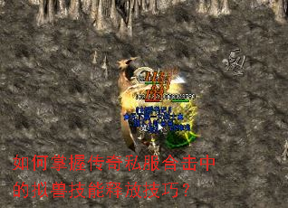 如何掌握传奇私服合击中的拟兽技能释放技巧? 如何掌握传奇私服合击中的拟兽技能释放技巧?