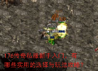 176传奇私服新手入门,有哪些实用的选择与玩法攻略? 176传奇私服新手入门,有哪些实用的选择与玩法攻略?