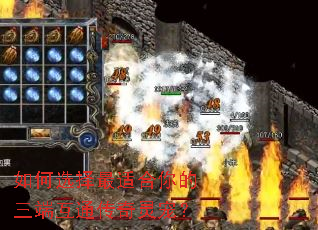 如何选择最适合你的三端互通传奇灵宠? 如何选择最适合你的三端互通传奇灵宠?