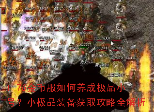1.76金币服如何养成极品小号?小极品装备获取攻略全解析 1.76金币服如何养成极品小号?小极品装备获取攻略全解析