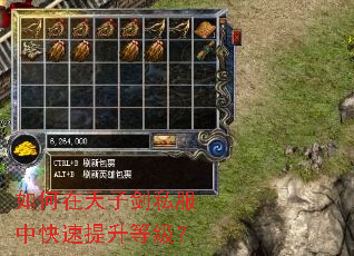 如何在天子剑私服中快速提升等级? 如何在天子剑私服中快速提升等级?