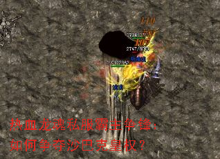 热血龙魂私服霸主争锋:如何争夺沙巴克皇权? 热血龙魂私服霸主争锋:如何争夺沙巴克皇权?