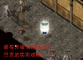 谁有开服快速称霸沙巴克的实用攻略? 谁有开服快速称霸沙巴克的实用攻略?
