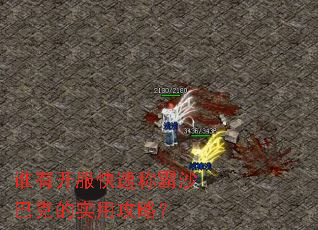 谁有开服快速称霸沙巴克的实用攻略? 谁有开服快速称霸沙巴克的实用攻略?