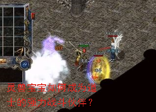 ���ޱ�����γ�Ϊ��ʿ��ǿ��ս����飿