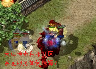 天津传奇私服开区一条龙服务如何选择? 天津传奇私服开区一条龙服务如何选择?