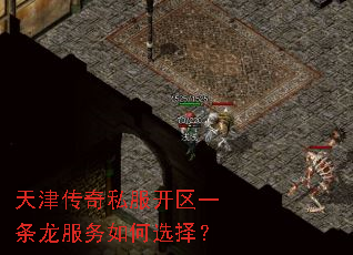 天津传奇私服开区一条龙服务如何选择? 天津传奇私服开区一条龙服务如何选择?
