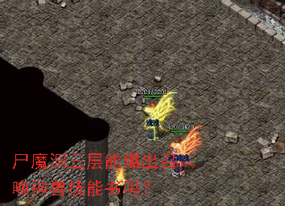 尸魔洞三层能爆出召唤神兽技能书吗? 尸魔洞三层能爆出召唤神兽技能书吗?