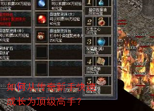��δӴ������ֿ��ٳɳ�Ϊ�������֣�