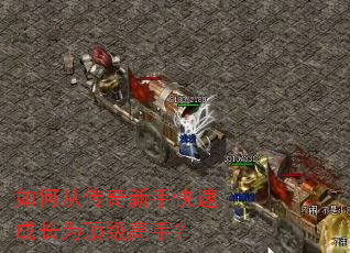��δӴ������ֿ��ٳɳ�Ϊ�������֣�