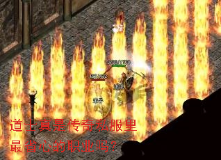 道士真是传奇私服里最省心的职业吗? 道士真是传奇私服里最省心的职业吗?
