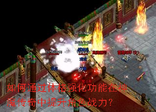 如何通过体格强化功能在神魔传奇中提升角色战力? 如何通过体格强化功能在神魔传奇中提升角色战力?