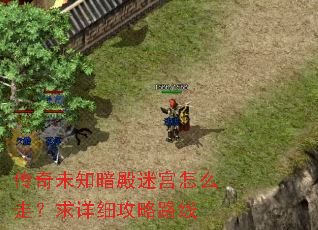 传奇未知暗殿迷宫怎么走?求详细攻略路线 传奇未知暗殿迷宫怎么走?求详细攻略路线