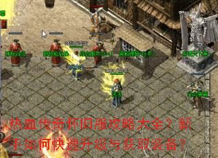 ��Ѫ���滳�ɷ����Դ�ȫ��������ο����������ȡװ����