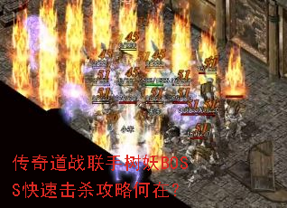 传奇道战联手树妖BOSS快速击杀攻略何在? 传奇道战联手树妖BOSS快速击杀攻略何在?