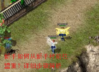 新手如何从新手村前往盟重?详细步骤解析 新手如何从新手村前往盟重?详细步骤解析
