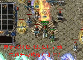 传奇60级私服怎么玩?新手快速升级攻略有哪些? 传奇60级私服怎么玩?新手快速升级攻略有哪些?