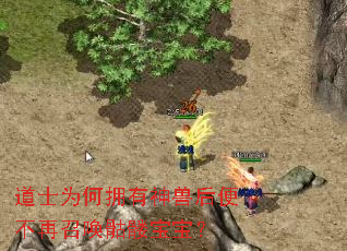 道士为何拥有神兽后便不再召唤骷髅宝宝? 道士为何拥有神兽后便不再召唤骷髅宝宝?