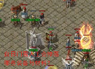 白日门雪人王会掉落哪些装备与材料? 白日门雪人王会掉落哪些装备与材料?