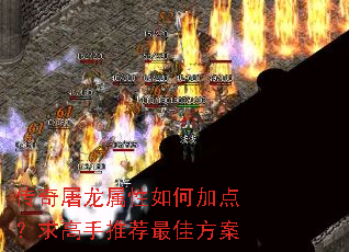 传奇屠龙属性如何加点?求高手推荐最佳方案 传奇屠龙属性如何加点?求高手推荐最佳方案