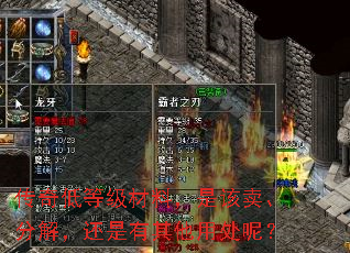 传奇低等级材料,是该卖、分解,还是有其他用处呢? 传奇低等级材料,是该卖、分解,还是有其他用处呢?