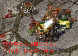 传奇道士各级血量是多少?快速升级攻略全解析 传奇道士各级血量是多少?快速升级攻略全解析