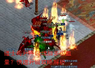 道士每升一级增加多少血量?快速升级攻略解析 道士每升一级增加多少血量?快速升级攻略解析