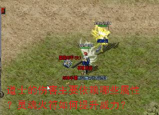 ��ʿ���˺���Ҫ������Щ���ԣ�������������������