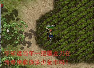 你知道当年一把屠龙刀在传奇里能换多少金币吗? 你知道当年一把屠龙刀在传奇里能换多少金币吗?