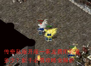 传奇私服开服一条龙费用究竟多少?新手必看攻略全解析 传奇私服开服一条龙费用究竟多少?新手必看攻略全解析