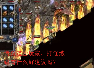 传奇道士玩家,打怪练级有什么好建议吗? 传奇道士玩家,打怪练级有什么好建议吗?