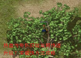热血传奇怀旧版如何快速升级?求最快方法攻略 热血传奇怀旧版如何快速升级?求最快方法攻略