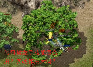 ���������ּ�����ô�ã�ʵս���ô���