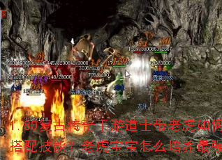 1.80复古传奇手游道士带老虎如何搭配技能?老虎宝宝怎么培养最强? 1.80复古传奇手游道士带老虎如何搭配技能?老虎宝宝怎么培养最强?
