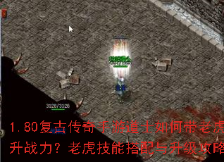 1.80复古传奇手游道士如何带老虎提升战力?老虎技能搭配与升级攻略全解析 1.80复古传奇手游道士如何带老虎提升战力?老虎技能搭配与升级攻略全解析