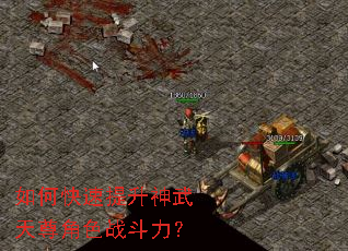 如何快速提升神武天尊角色战斗力? 如何快速提升神武天尊角色战斗力?