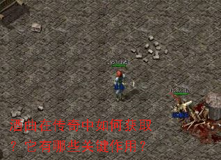 酒曲在传奇中如何获取?它有哪些关键作用? 酒曲在传奇中如何获取?它有哪些关键作用?