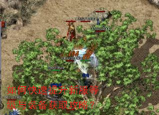 如何快速提升新服等级与装备获取攻略? 如何快速提升新服等级与装备获取攻略?