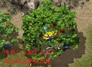 传奇尸王殿怎么走?详细路线图解攻略 传奇尸王殿怎么走?详细路线图解攻略