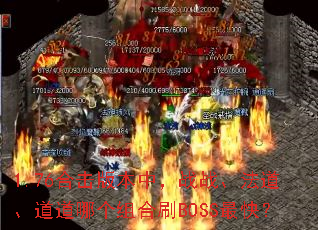 1.76合击版本中,战战、法道、道道哪个组合刷BOSS最快? 1.76合击版本中,战战、法道、道道哪个组合刷BOSS最快?