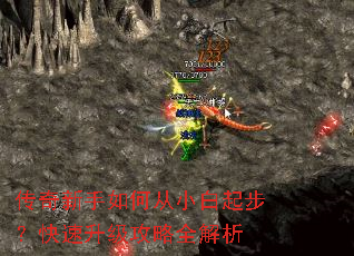 ����������δ�С���𲽣�������������ȫ����