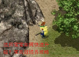 法师宝宝如何快速升级?求高效培养攻略 法师宝宝如何快速升级?求高效培养攻略