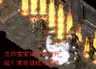 法师宝宝如何快速升级?求高效培养攻略 法师宝宝如何快速升级?求高效培养攻略