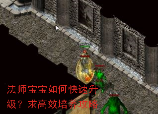 法师宝宝如何快速升级?求高效培养攻略 法师宝宝如何快速升级?求高效培养攻略
