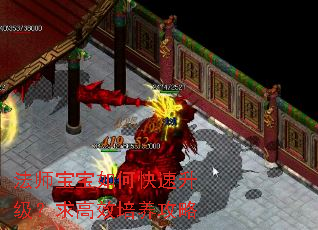 法师宝宝如何快速升级?求高效培养攻略 法师宝宝如何快速升级?求高效培养攻略
