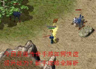 今日开服传奇手游如何快速提升战力?新手攻略全解析 今日开服传奇手游如何快速提升战力?新手攻略全解析