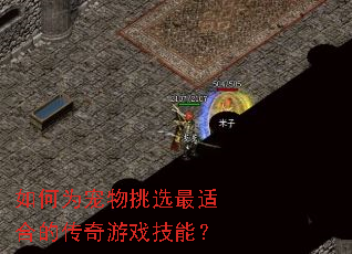 如何为宠物挑选最适合的传奇游戏技能? 如何为宠物挑选最适合的传奇游戏技能?