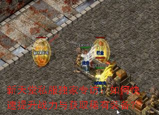 新天堂私服独家专访:如何快速提升战力与获取稀有装备? 新天堂私服独家专访:如何快速提升战力与获取稀有装备?