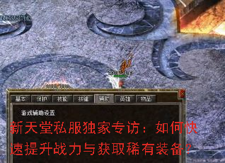 新天堂私服独家专访:如何快速提升战力与获取稀有装备? 新天堂私服独家专访:如何快速提升战力与获取稀有装备?