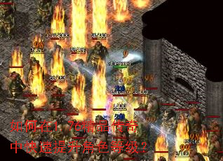 如何在1.76精品传奇中快速提升角色等级? 如何在1.76精品传奇中快速提升角色等级?